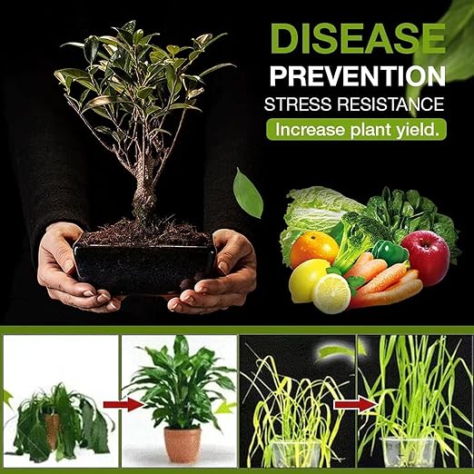 Soil Activated Treasure pack of 2 And Free plant booster pack 1