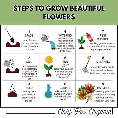 Zenycart 150 Variety Of Organic Flower Seeds And  Plant Growth Free Pack Of 1