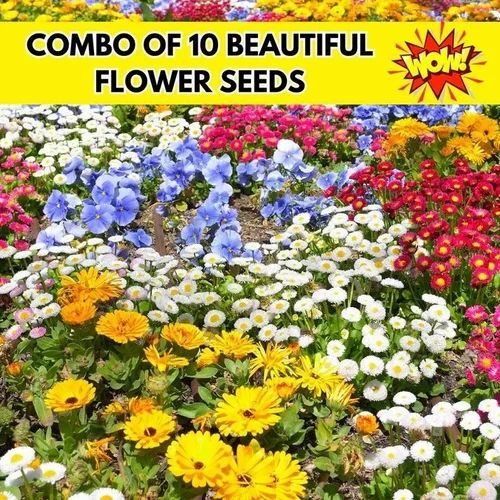 Zenycart 150 Variety Of Organic Flower Seeds And  Plant Growth Free Pack Of 1