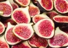Fig Tree Seeds pack of 2