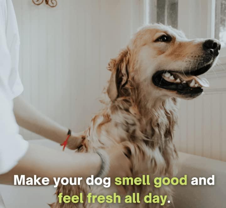 Anti-Itch Dog Shampoo PACK2