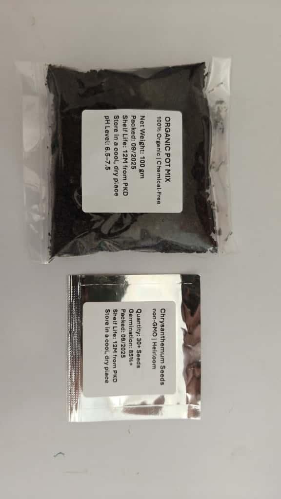 Double-Petal Chrysanthemums Seeds and 100 grams Organic Pot Mix PACK 2