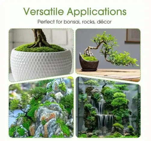 Premium Grade Moss Spore Powder pack of 2
