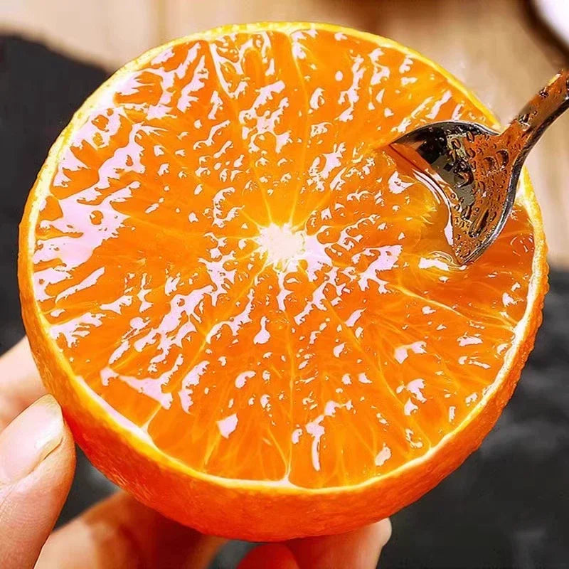 Imported Jelly Orange Seeds Pack Of 2