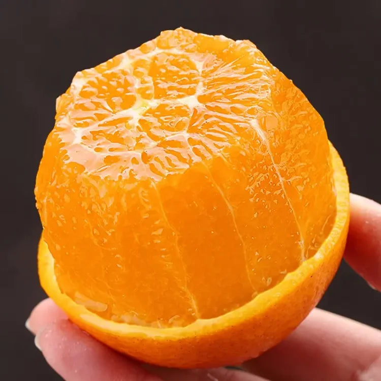 Imported Jelly Orange Seeds Pack Of 2