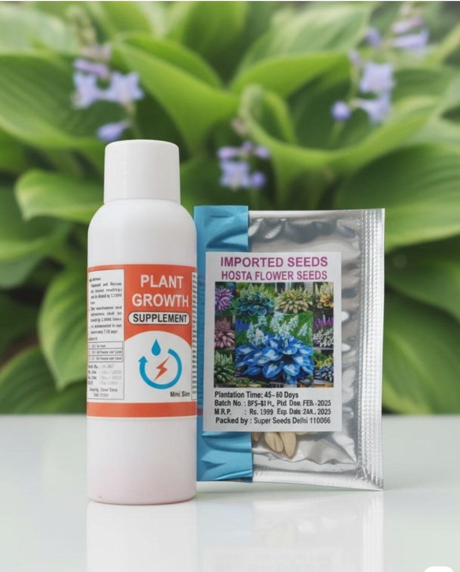 IMPORTED SEEDS HOSTA SEEDS AND PLANT GROWTH FREE  PACK 1